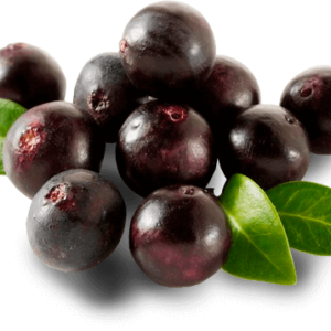 Acai Berry