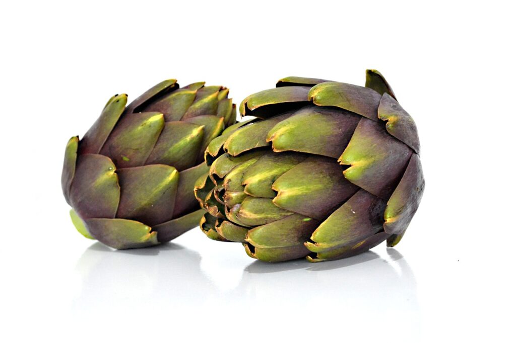 artichoke, vegetable