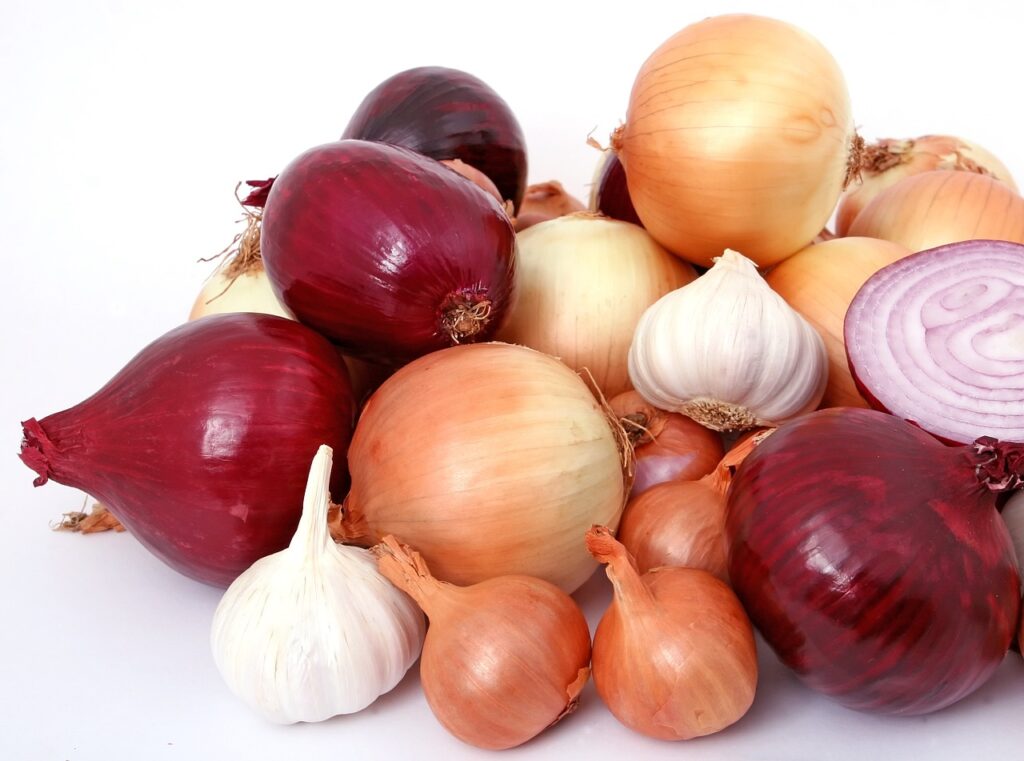 Health Benefits of Onions