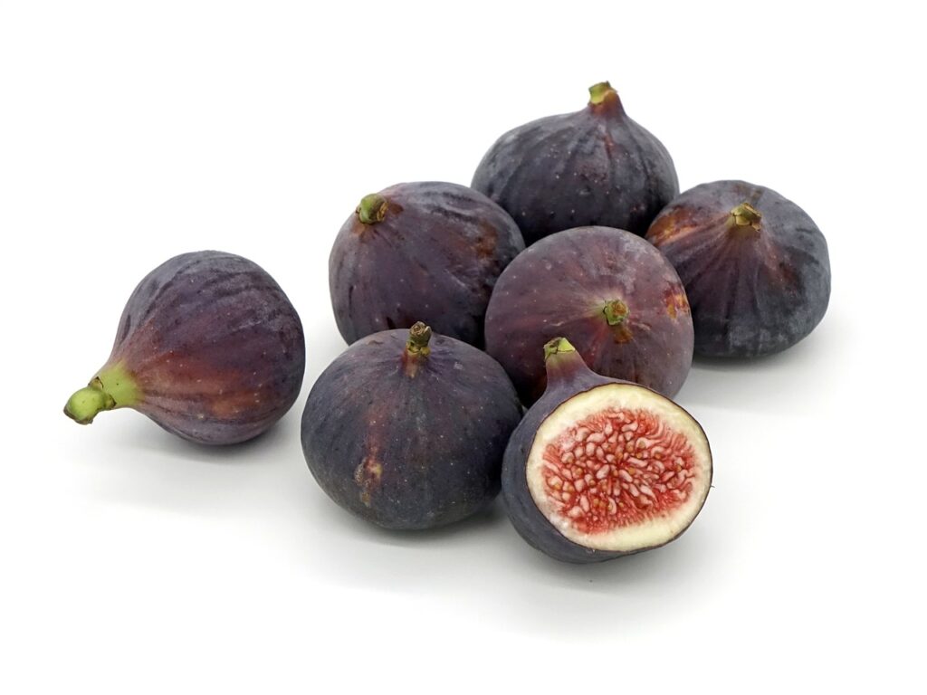 fig, fruit