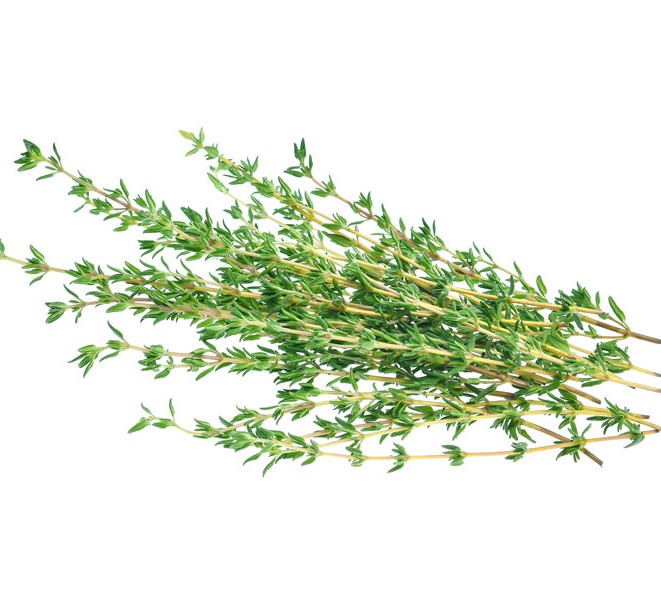 health-benefits-of-thyme