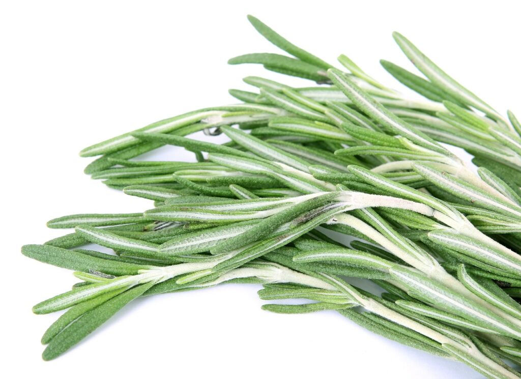 health-benefits-of-rosemary