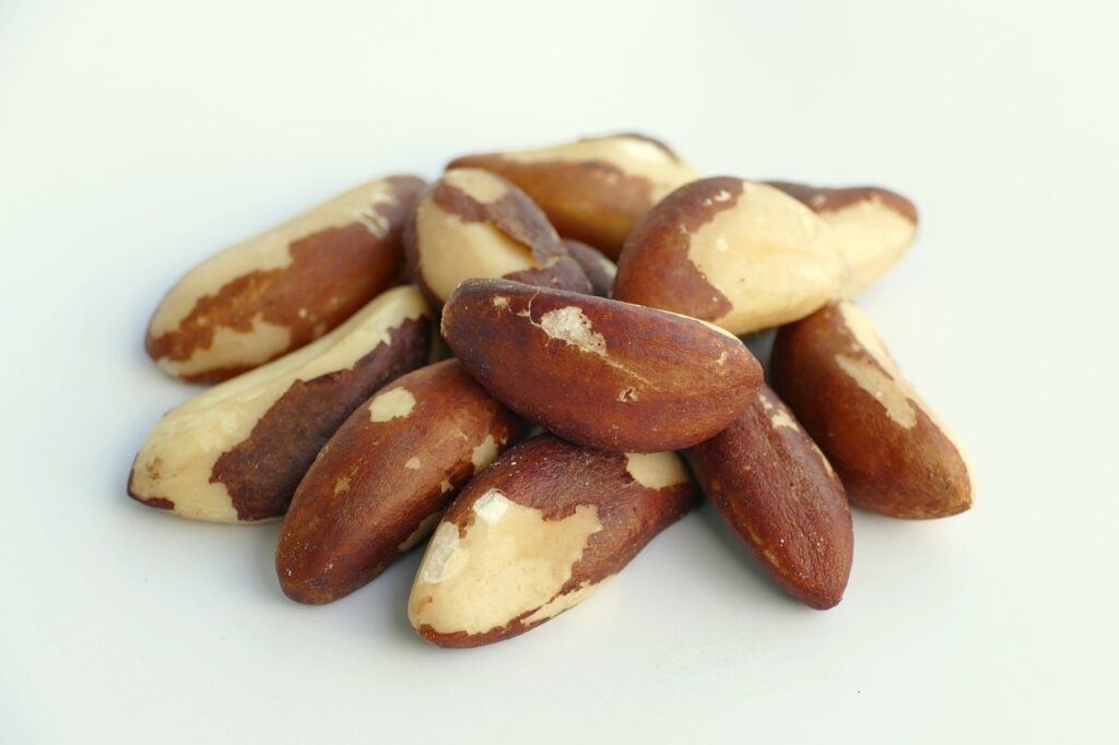 health-benefits-of-brazil-nuts