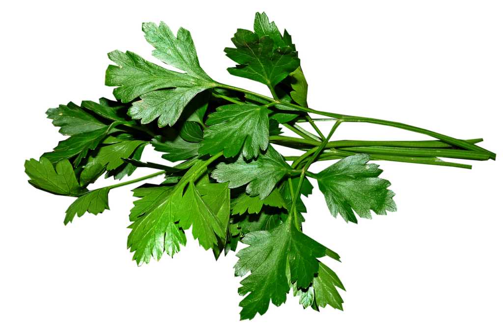 healyh-benefits-of-parsley