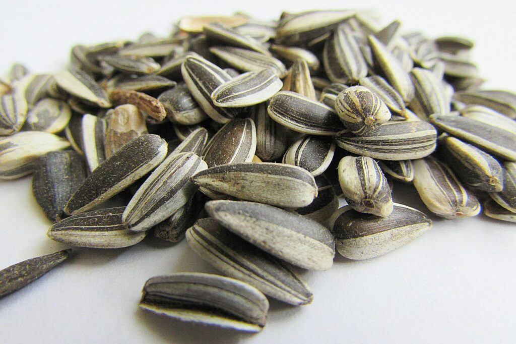 health-benefits-of-sunflower-seeds