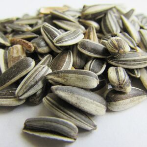 health-benefits-of-sunflower-seeds