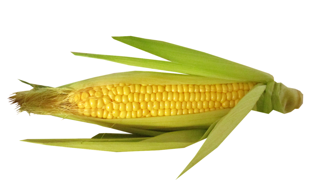 health-benefits-of-corn