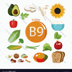 folic acid, vitamin b9