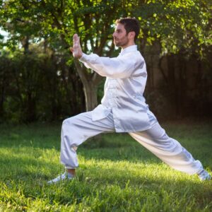 tai chi, taiji, taichi