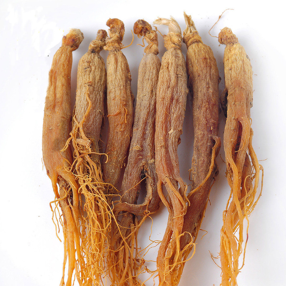 Ginseng