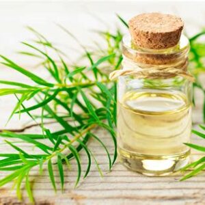 tea tree oil