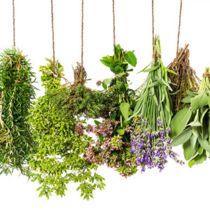 medicinal herbs