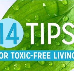 toxin free living